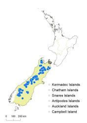Veronica decora distribution map based on databased records at AK, CHR & WELT.
 Image: K.Boardman © Landcare Research 2022 CC-BY 4.0